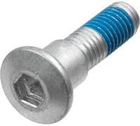 Set viti disco freno Argento Acciaio inossidabile Trw Triumph Mss132-6