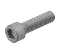 Vite ELRING 434.400