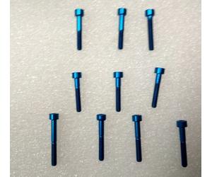 VITE ERGAL AZZURRO TESTA CILINDRICA M6 LUNGHEZZA 10 DELLA LIGHTECH TCEI 10 PEZZI