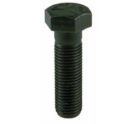 Vite Fiss.Lama Rasaerb.63,4 Mm