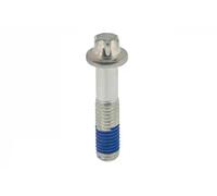 Vite flangia albero cardanico 411 098 TOPRAN