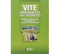 Vite: impianto del vigneto. Scelte da affrontare, realizzazione e fase di allevamento