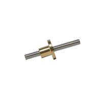 Vite in acciaio inossidabile T10 304 passo 2 mm, corsa 14 mm con dado in ottone(750mm with Nut)