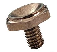 Vite in acciaio inox placcato per mulinello da baitcasting, lunghezza 10 mm, nero, oro, argento, grigio, 0,7 g, leggera e resistente, adatta per attrezzi da pesca serie Ryoga (grigio)