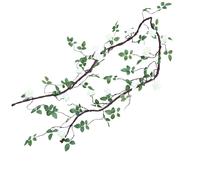Vite in rattan simulazione 300 cm per decorare luoghi matrimonio e giardini