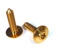 Vite In Titanio BMW M5x20 Senza Collare 46638527780 Testa Torx T25