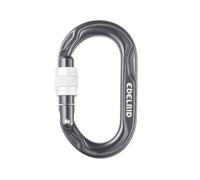 Edelrid Kiwi Screw - moschettone Grey unisex