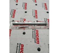 Vite Leva Freno Anteriore M 10 x 1,25 DUCATI PASO I.E. 907 77910121A