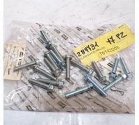 VITE M 6x30 MM ESAGONALE PER PIAGGIO VESPA SPRINT 50 4T (CONFEZIONE 17 PEZZI)