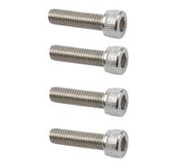Vite M6 x 25 mm inox - Par 4 ( M6 )