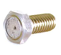 Vite magnetica per disco freno (M8 x P1.25 x 27.5L)