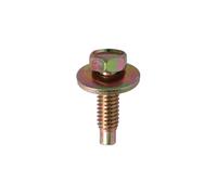 Vite Nera Esagonale Con Rondella - Per Ford 5pz 30059