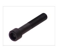 Vite per la corona dentata sull'alloggiamento dell'equalizzatore C.E.I 187641