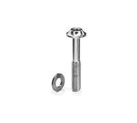 Vite per pinza freno m5 torx 25 a montaggio piatto in titanio con rondella grigio assolutoblack