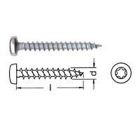 Vite per truciolare testa cilindrica con testa Torx zincata