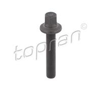 Vite puleggia Ad esagono sporgente con collare 503 131 TOPRAN per BMW 3 Touring
