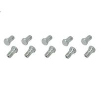 Vite QUICK BRAKE 3255-10