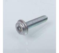 Vite RESISTORX inviolabile M6 Passo 1,00 L 25 mm per due ruote