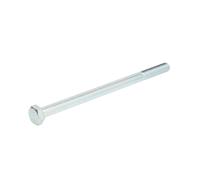 Vite S-TR M10X1.5/160-1