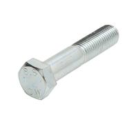 Vite S-TR M20X2,5/100-1