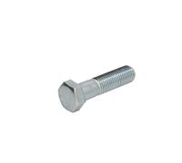 Vite S-TR M20X2,5/80-1