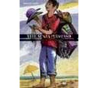 Vite senza permesso. Interviste ad ambulanti immigrati