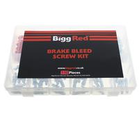 Vite Sfiato Officina Assortimento 110 Pezzi Metrico UNF Forti Coperchi BRBKIT110