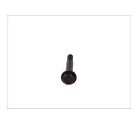 Bosal Vite sistema di scarico 258-794