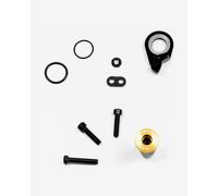 Vite SRAM per cambio XX1 Eagle dorato