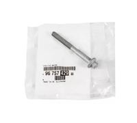 Vite Supporto Iniettore Per Peugeot Ford Tourneo Transit Citroën 9675742980