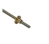 Vite T10 304 SUS passo 2 mm 10 mm asta filettata a 5 principi con dado in ottone(200mm with Nut)