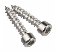 VITE TCEI AUTOFILETTANTE 5,5X16 INOX 100 PZ VT069