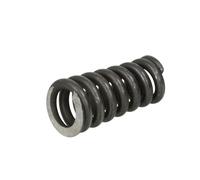 Vite testata cilindri 0219-15-0034P 4MAX