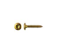 Vite truciolare a testa larga TR/TX 5,5 x 30 x20 pz