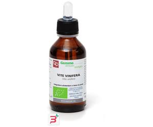 VITE VINIFERA MACERATO GLICERINATO BIO 100 ML