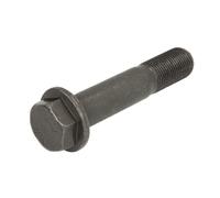 Vite, volano DT Spare Parts 1.40021