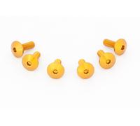 Viteria Cupolino Ergal Kawasaki ZX6R RR 2003-04 Front Screen Fairing Bolt Kit