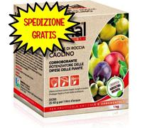VITHAL BIO CAOLINO (POLVERE DI ROCCIA ) 1 KG CORROBORANTE