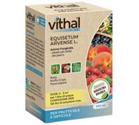VITHAL Fungicida per Piante Frutticole e Orticole - a base di Estratto di Equisetum, Fungicida 100% Naturale e Biologico per Protezione Contro Bolla, Muffa, Monilia, Peronospora e Oidio, 250ml
