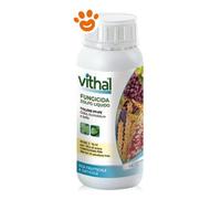 Vithal Garden Fungicida Zolfo Liquido - Vithal Garden Fungicida Zolfo Liquido - Confezione Da 1 Lt