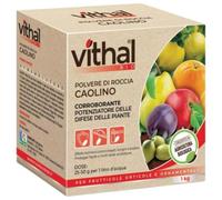 VITHAL Integratore Caolino Polvere di Roccia - Caolino per Agricoltura, Protezione Naturale, Difesa Contro Insetti e Scottature, Azione Cicatrizzante, Consentito in Agricoltura Biologica, 1kg