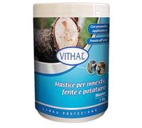 VITHAL Mastice per Innesti - Mastice per Piante Protezione Cicatrizzante per Alberi e Arbusti, Previene Marciumi e Infezioni, Pronto all’Uso Con Pennello Applicatore, 1kg