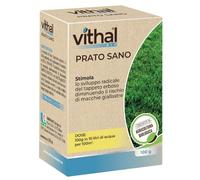 VITHAL Prato Sano Bio - Stimolatore Radicale per Tappeti Erbosi, Riduce Macchie Giallastre e Feltro, 100 g per 100 m² - Concime Naturale Consentito in Agricoltura Biologica