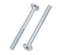 Viti a brugola con testa piatta M6 x 100 Acciaio Zincato 10 pezzi