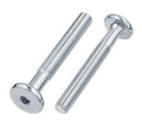 Viti a brugola con testa piatta M6 x 75 Acciaio Zincato 10 pezzi
