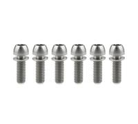 Viti a testa esagonale, bulloni, Viti a testa esagonale incassata, set di 6 viti in titanio M6x18mm 20mm con conica rondella for freno bicicletta(Silver,20MM-M6)