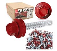 Viti autofilettanti 4,8 x 55 mm, 250 pezzi, Marrone rosso RAL 3011