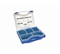 Viti autofilettanti con finitura azzurrata Set da 450 pezzi - SK03B small silver