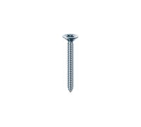 VITE AUTOFILETTANTE T.S.P. TSP mm 2,9 x 13 MUSTAD 10 C%