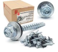 Viti autofilettanti per metallo 4,8 x 20 mm, 250 pezzi, argento zincato